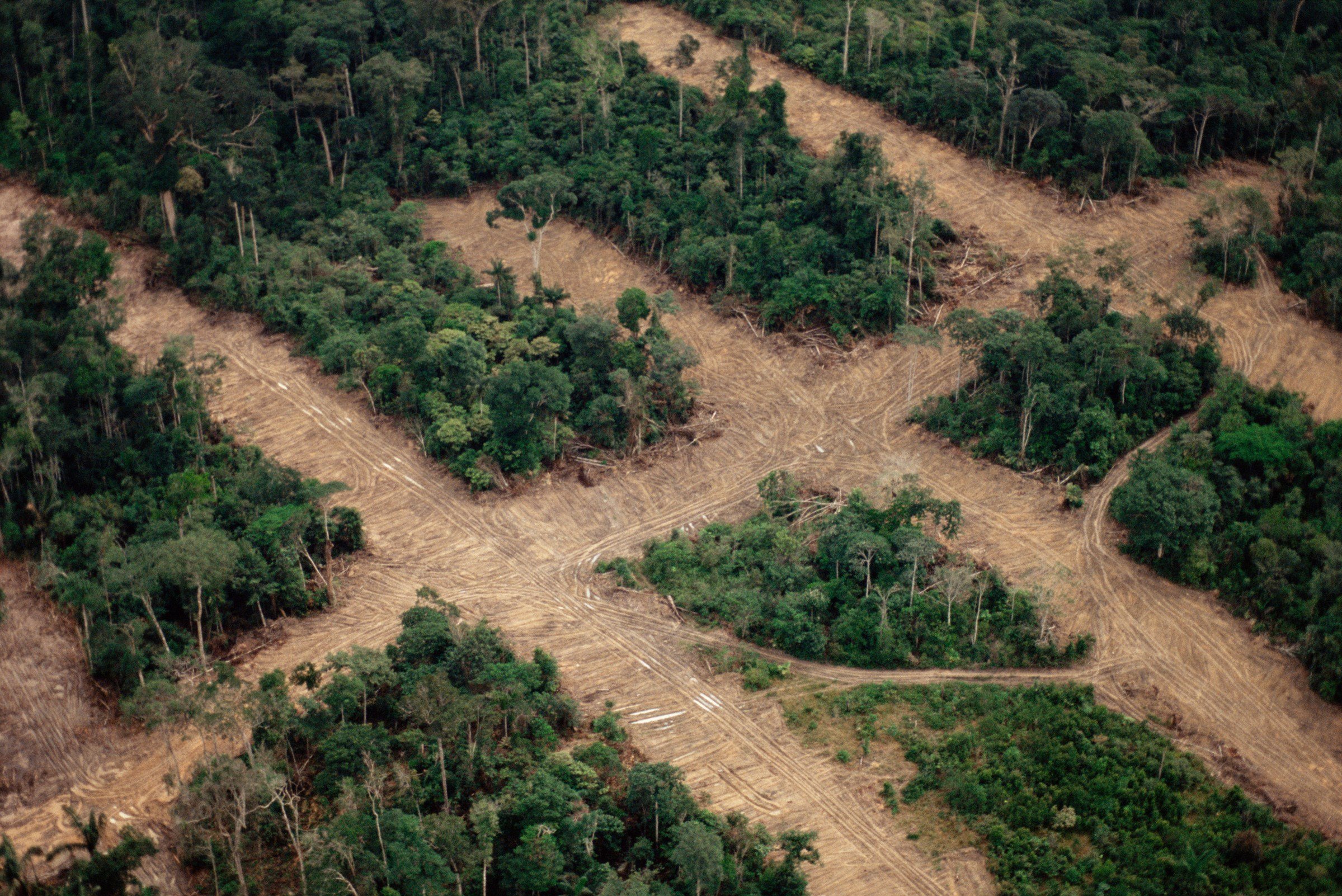 Luchtfoto over het regenwoud met de ontbossing