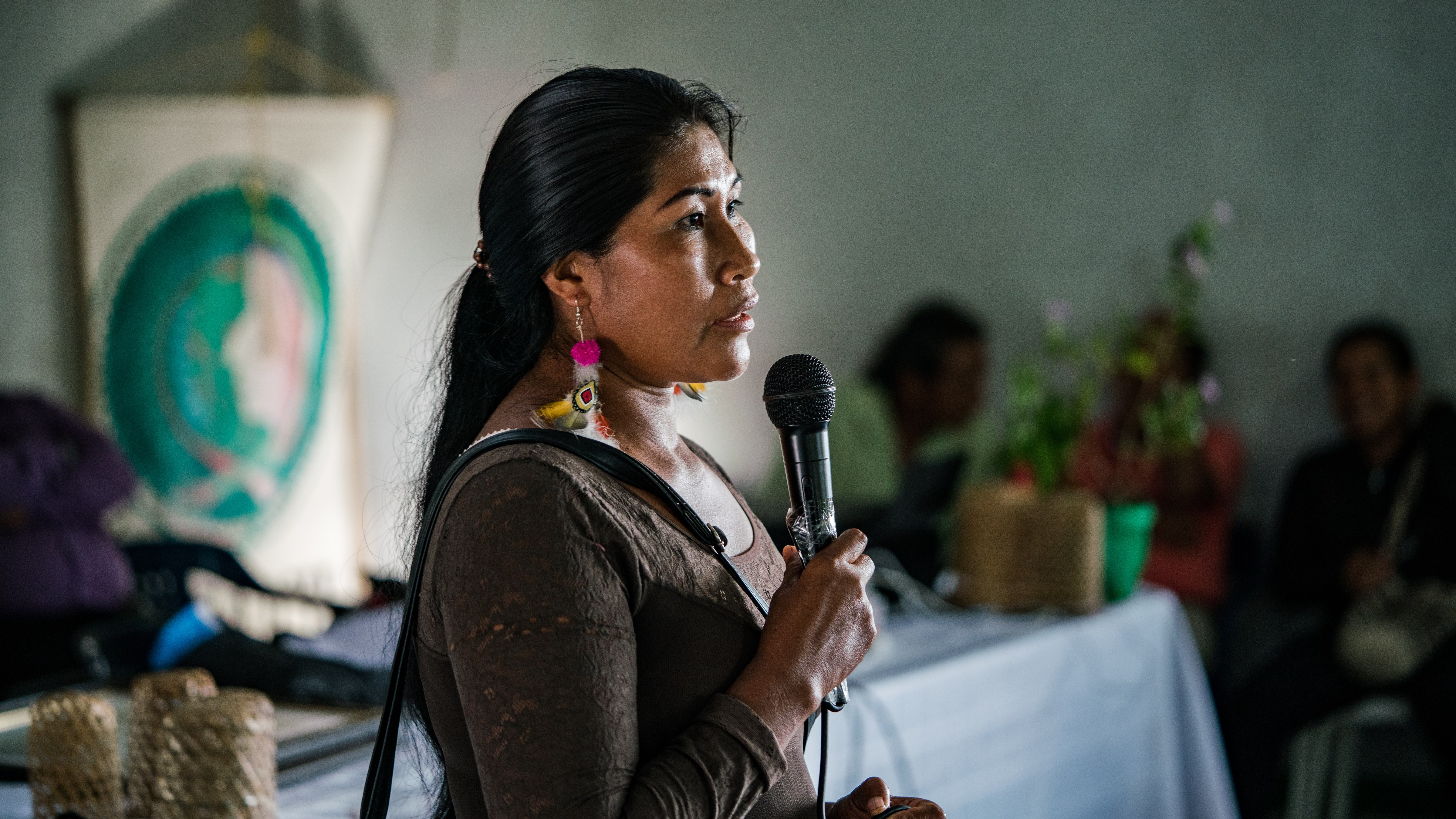 Chela Elena Umire spreekt over Ecosystem Service Assesment in Colombia